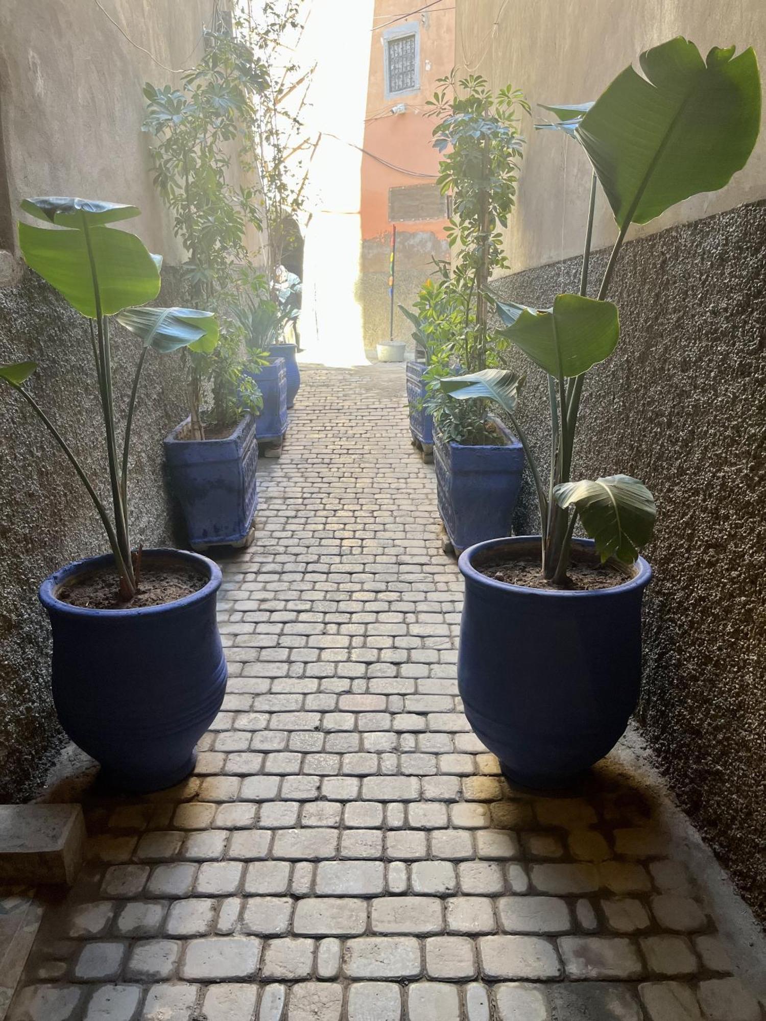 Riad Ecila Marakeş Dış mekan fotoğraf